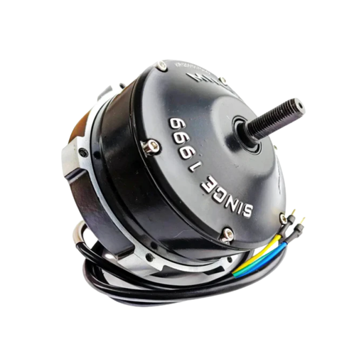[SPW04] Moteur Speedway 5 et Dualtron Dt3 Dualtron Victor